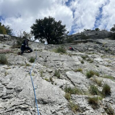 seynes-rouge-gorge seynes-rouge-gorge