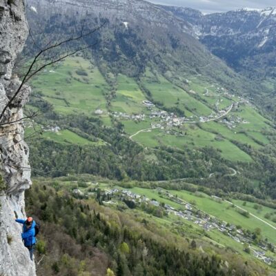 mont-peney-cactus mont-peney-cactus